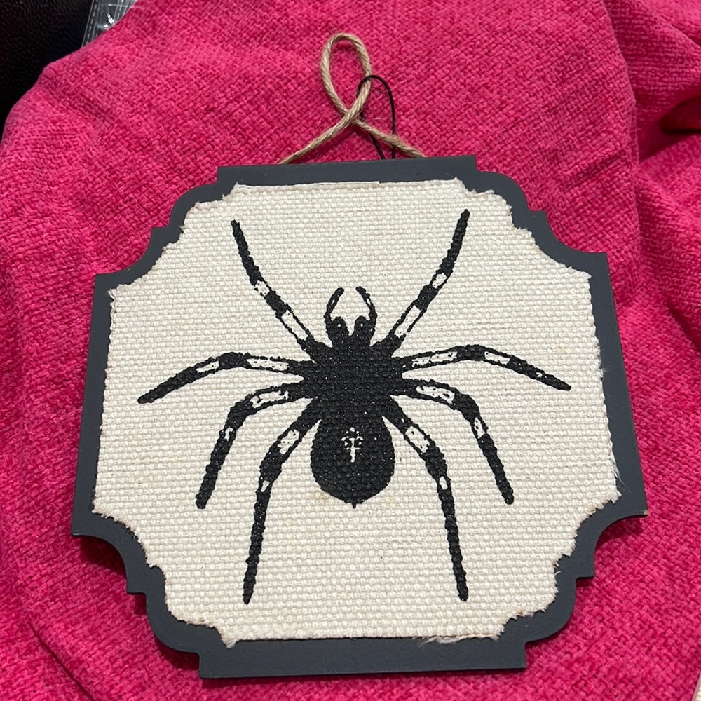 NWT Halloween Picture Spider